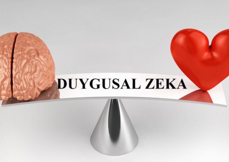 Duygusal Zeka